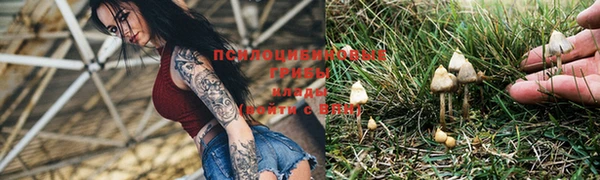 шишки Алексин
