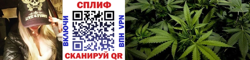 Каннабис ГИДРОПОН  Волоколамск 